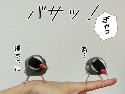 s-CIMG1406