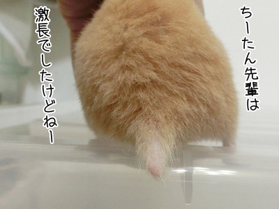 s-CIMG0677