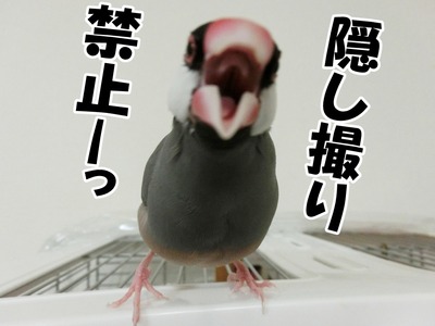 s-CIMG2821