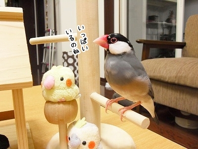 ブンチョ日誌