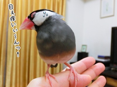 s-CIMG4468