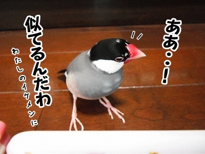 ブンチョ日誌