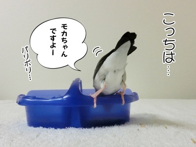 s-CIMG9838