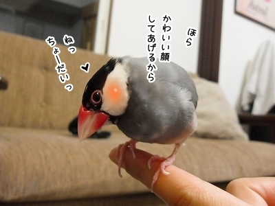 ブンチョ日誌