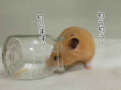 s-CIMG0784