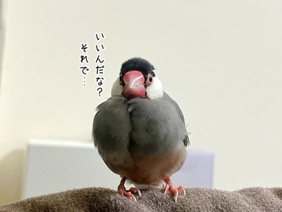 s-IMG_5533
