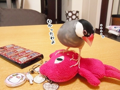 ブンチョ日誌