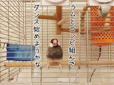 s-CIMG0675