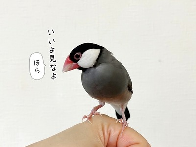 s-IMG_6235