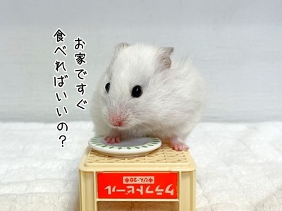 s-IMG_2366