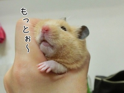 s-CIMG0779