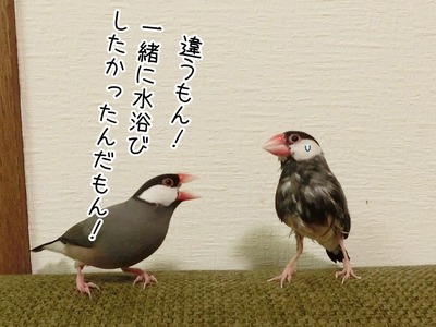 s-CIMG0303