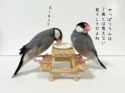 11
