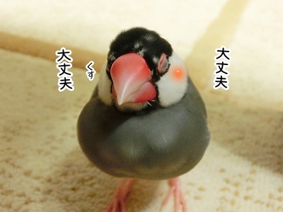 s-CIMG5765