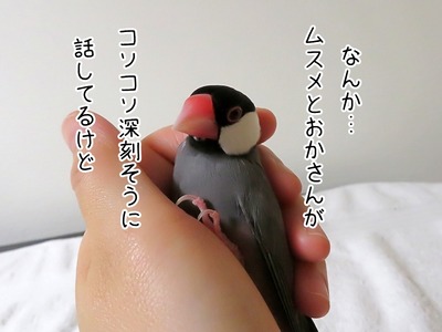 s-IMG_0263