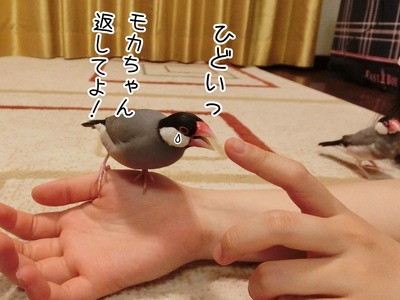 s-CIMG5919