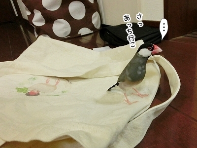 ブンチョ日誌