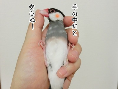 s-CIMG5563