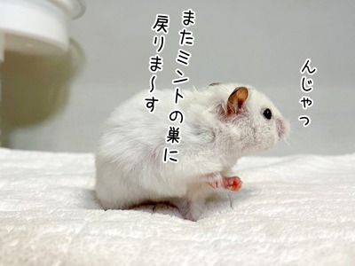 s-IMG_8283