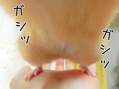 s-CIMG4457
