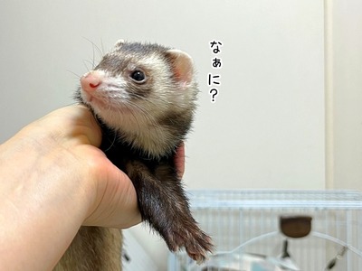s-IMG_0530