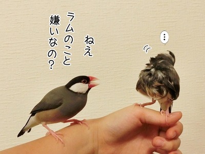 s-CIMG0312