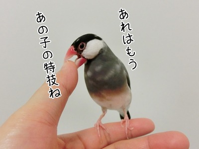 s-CIMG9741