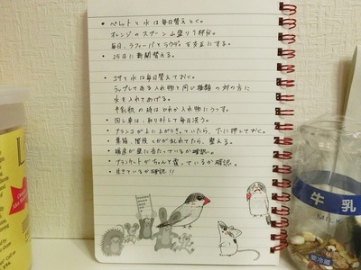 s-CIMG0393