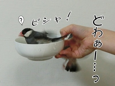 s-CIMG8855