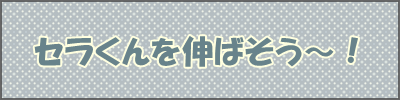 noname