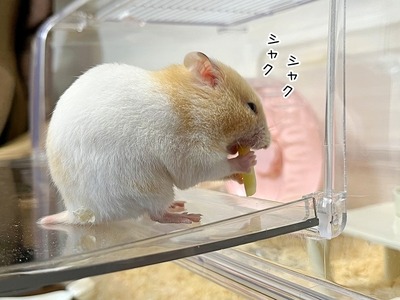 s-IMG_3621