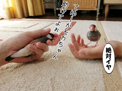 s-CIMG0917