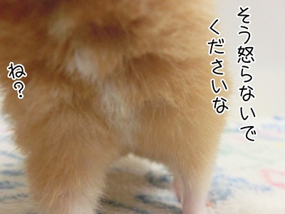 s-CIMG2517