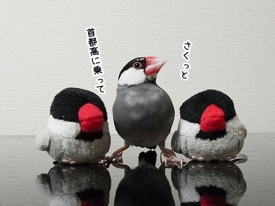 ブンチョ日誌