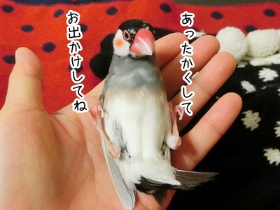 s-CIMG9795