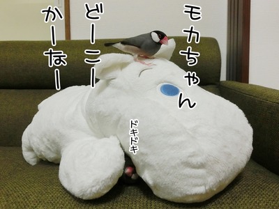 s-CIMG0143