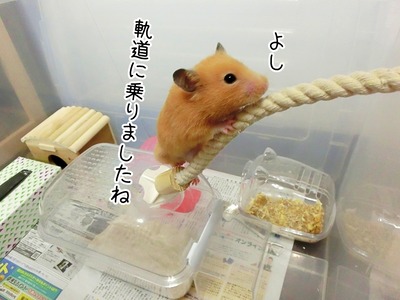 s-CIMG3789