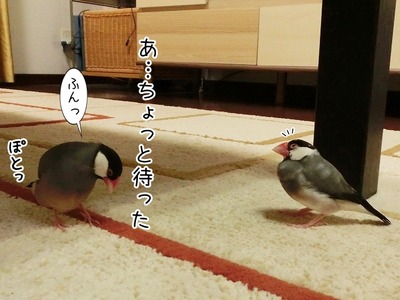 s-CIMG9719
