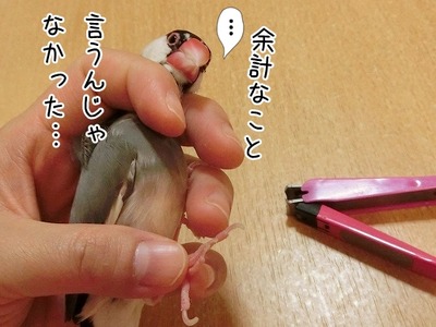 s-CIMG0021
