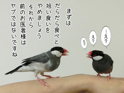 s-CIMG0644