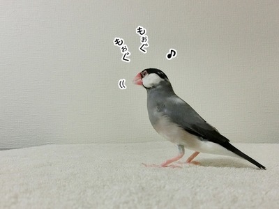 s-CIMG9833