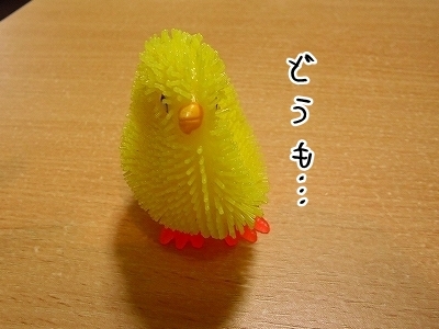 ブンチョ日誌