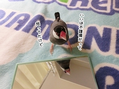 ブンチョ日誌