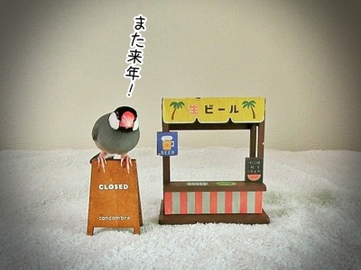 s-CIMG0871