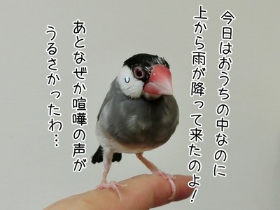 s-CIMG8476
