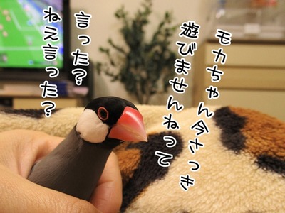 s-IMG_6660