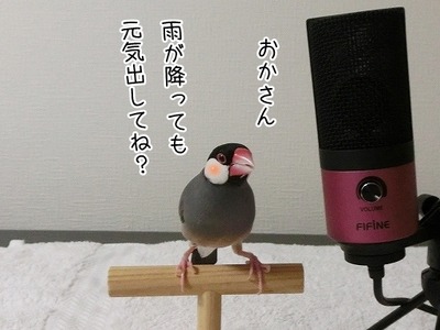 s-CIMG9843