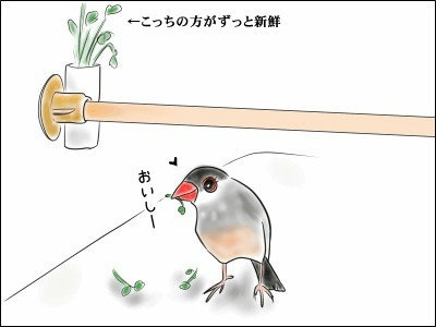 ブンチョ日誌