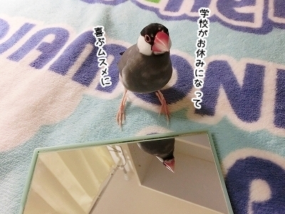 ブンチョ日誌