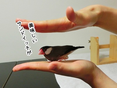 s-CIMG0127